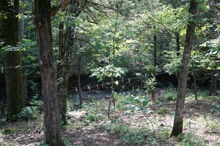 Land, Building, Pond, Creek - image 16