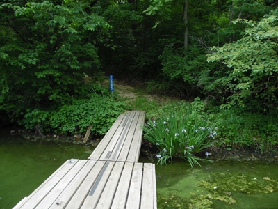 Apple Canyon Lake Home For Sale in Jo Daviess County, IL - image 36