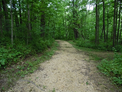 Apple Canyon Lake Home For Sale in Jo Daviess County, IL - image 34