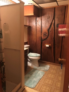 Apple Canyon Lake Home For Sale in Jo Daviess County, IL - image 20