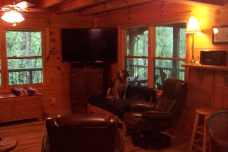 Log home mountain prop for sale Crossville TN Cumberland Co - image 13