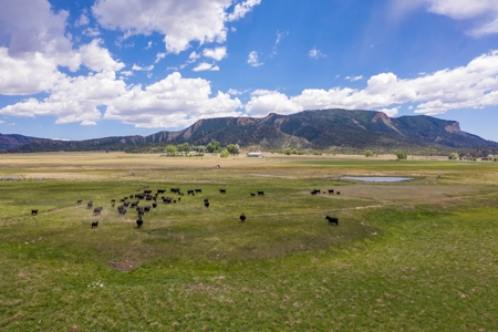 Beautiful Riverfront Home For Sale in Mancos, CO! - image 38