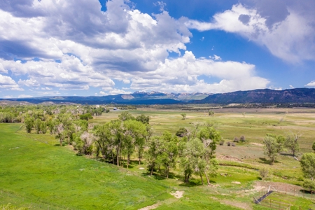 Beautiful Riverfront Home For Sale in Mancos, CO! - image 34