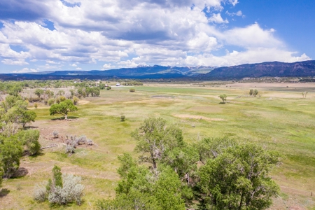 Beautiful Riverfront Home For Sale in Mancos, CO! - image 41