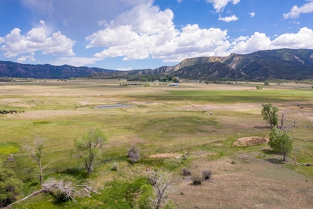 Beautiful Riverfront Home For Sale in Mancos, CO! - image 40