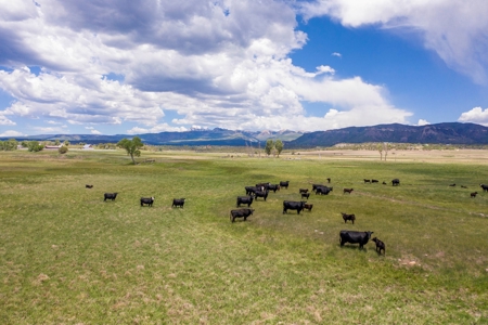 Beautiful Riverfront Home For Sale in Mancos, CO! - image 37