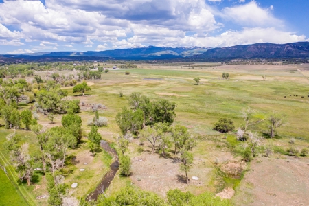 Beautiful Riverfront Home For Sale in Mancos, CO! - image 42