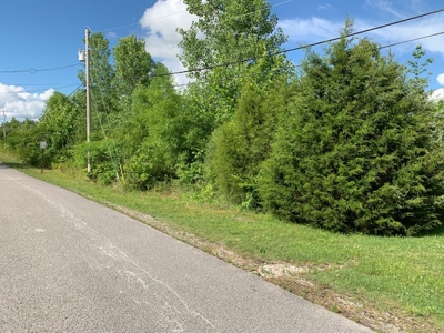 109 Stephanie Ln Baxter TN land for sale - image 5