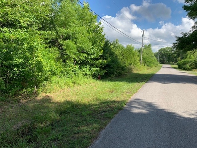 109 Stephanie Ln Baxter TN land for sale - image 2
