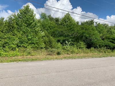 109 Stephanie Ln Baxter TN land for sale - image 3