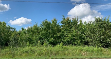 109 Stephanie Ln Baxter TN land for sale - image 6