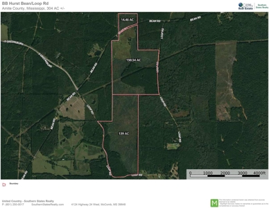 304 Acre Hunting Timber Land for Sale Amite County MS - image 18