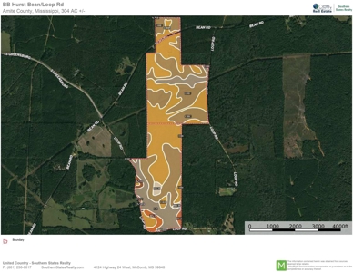 304 Acre Hunting Timber Land for Sale Amite County MS - image 22