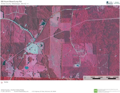 304 Acre Hunting Timber Land for Sale Amite County MS - image 21