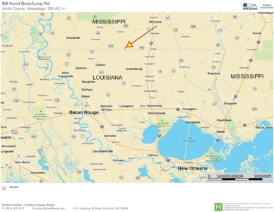 304 Acre Hunting Timber Land for Sale Amite County MS - image 17