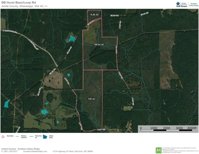 304 Acre Hunting Timber Land for Sale Amite County MS - image 19