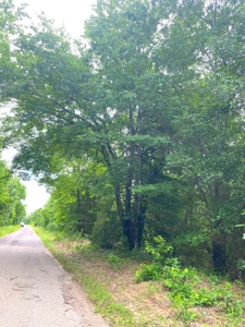 East Texas Land For Sale - image 10