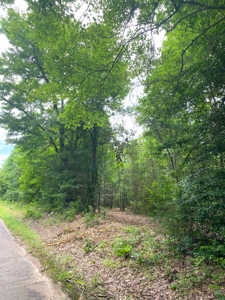 East Texas Land For Sale - image 14