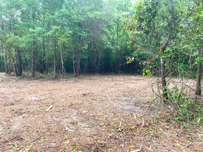 East Texas Land For Sale - image 20