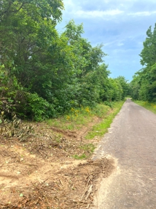 East Texas Land For Sale - image 18