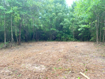 East Texas Land For Sale - image 22