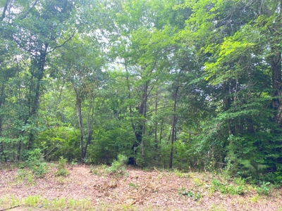 East Texas Land For Sale - image 21