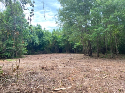 East Texas Land For Sale - image 25