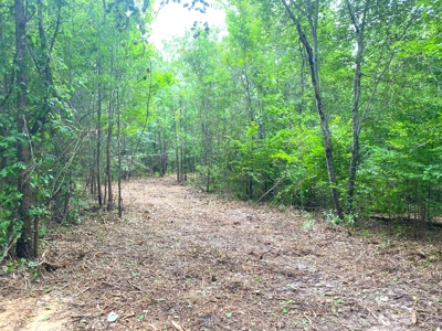 East Texas Land For Sale - image 19