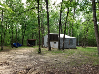 Winding Stair Mountain Cabin – Adjoining National Forest - image 21