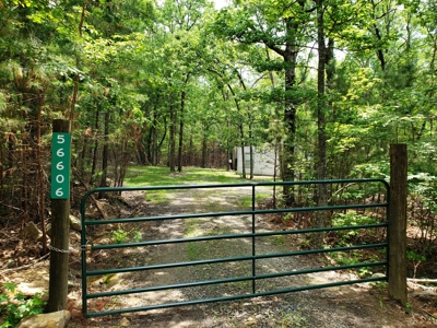 Winding Stair Mountain Cabin – Adjoining National Forest - image 3