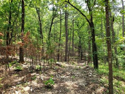 Winding Stair Mountain Cabin – Adjoining National Forest - image 14