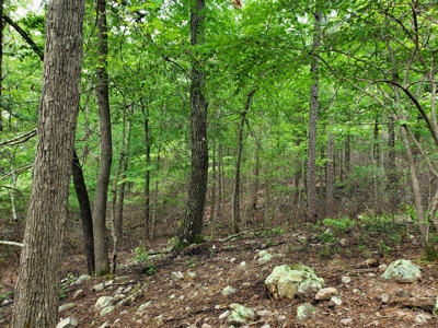 Winding Stair Mountain Cabin – Adjoining National Forest - image 18