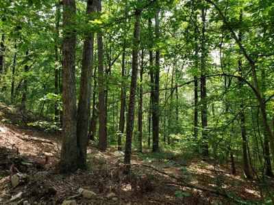 Winding Stair Mountain Cabin – Adjoining National Forest - image 15