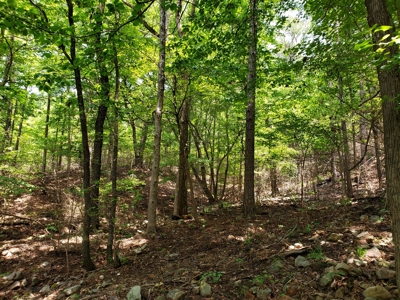 Winding Stair Mountain Cabin – Adjoining National Forest - image 16