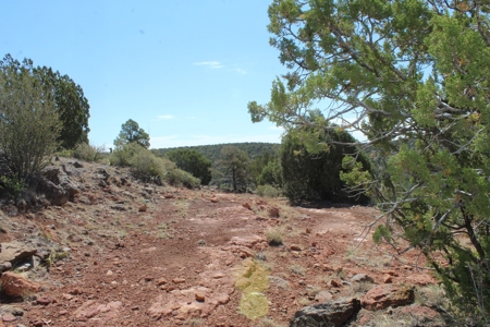 Land for sale  that Borders State Trust Land on 2 Sides - image 3