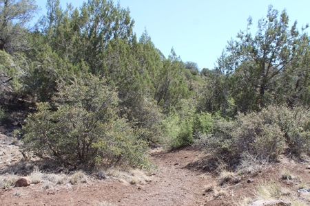 Land for sale  that Borders State Trust Land on 2 Sides - image 7