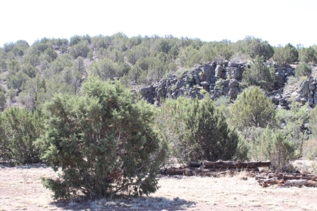 Land for sale  that Borders State Trust Land on 2 Sides - image 1
