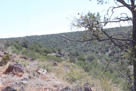 Land for sale  that Borders State Trust Land on 2 Sides - image 5