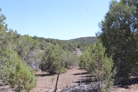 Land for sale  that Borders State Trust Land on 2 Sides - image 8