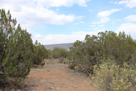 Land Borders State Trust Land for sale in Seligman AZ - image 3