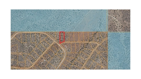 Land Borders State Trust Land for sale in Seligman AZ - image 5