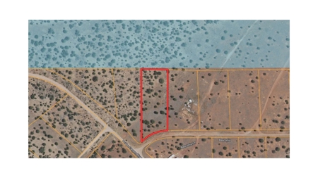 Land Borders State Trust Land for sale in Seligman AZ - image 4