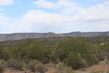 Land Borders State Trust Land for sale in Seligman AZ - image 1