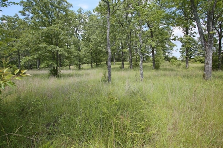 Perfect Location within Arrowhead Lakes for a New Home - image 5