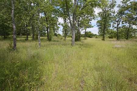 Perfect Location within Arrowhead Lakes for a New Home - image 6