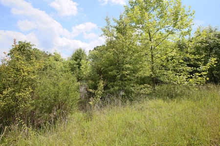 Perfect Location within Arrowhead Lakes for a New Home - image 8