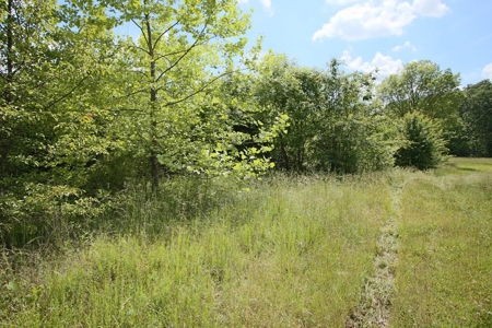 Perfect Location within Arrowhead Lakes for a New Home - image 10