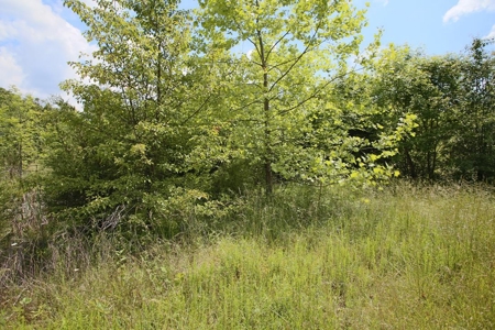 Perfect Location within Arrowhead Lakes for a New Home - image 9