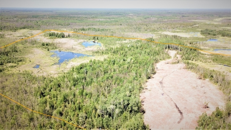 80 Acre Side Lake Hunting Land For Sale! - image 1