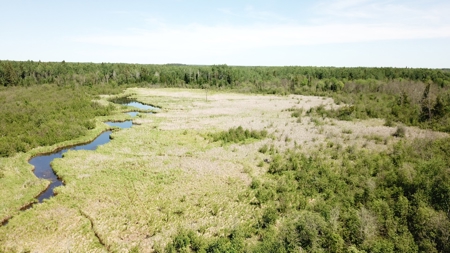 80 Acre Side Lake Hunting Land For Sale! - image 6